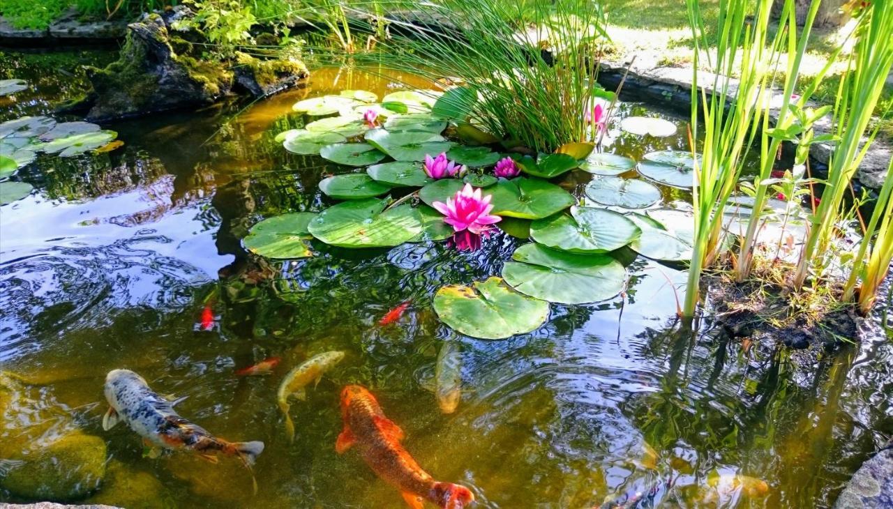 Gite Pause Au Jardin Piscine Chauffee Saint-Branchs Exterior photo