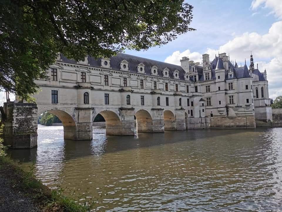 Gite Pause Au Jardin Piscine Chauffee Saint-Branchs Exterior photo